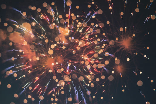 dog firework anxiety