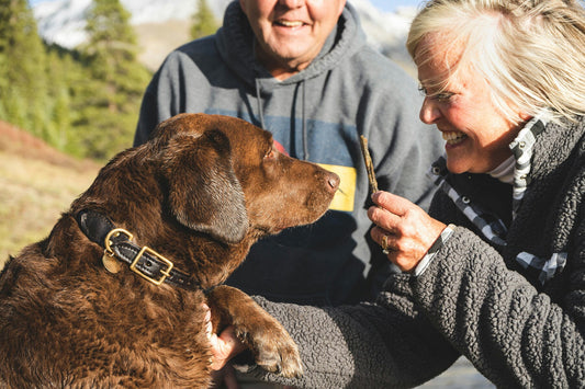 flea dirt on dogs